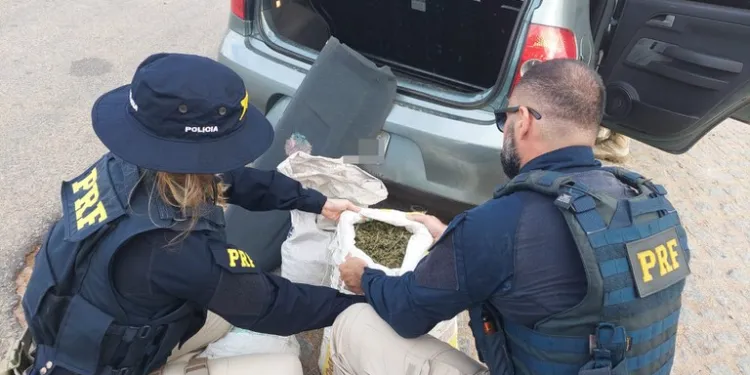 Motorista é preso por transportar no porta-malas 15 kg de maconha na BR-235